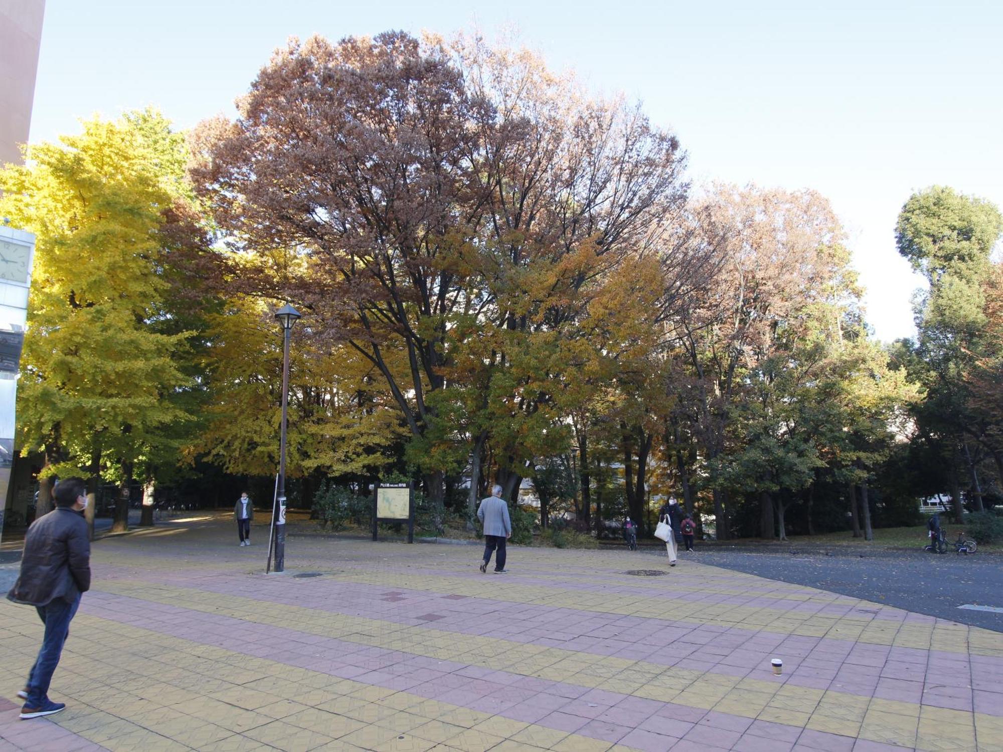 和貴ビル Appartement Tokio Buitenkant foto