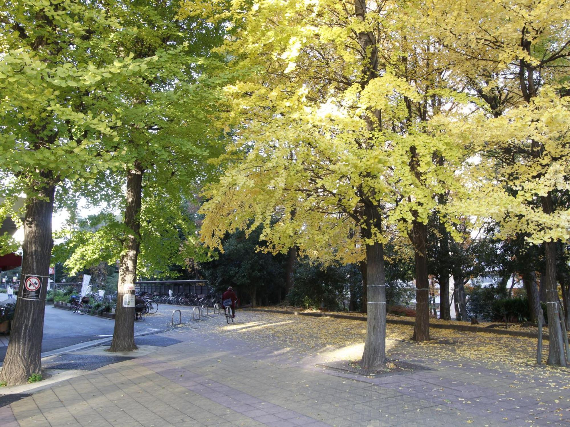 和貴ビル Appartement Tokio Buitenkant foto